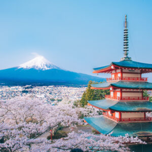 Quiz Japon : l’édition complète Jeudi 12 février - 19h30